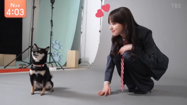 初恋dogsドラマキャスト一覧や相関図を画像付きで紹介！